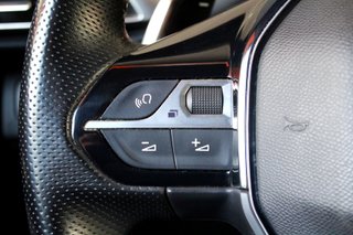 Peugeot 3008 300 eEAT8 GT Line (2020)