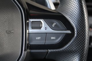 Peugeot 3008 300 eEAT8 GT Line (2020)