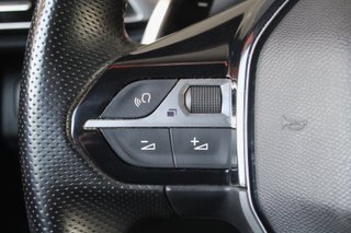 Peugeot 3008 300 eEAT8 GT Line (2020)