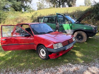 Peugeot 205 3p WINNER