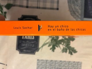 Hay un Chico en el Baño de las Chicas