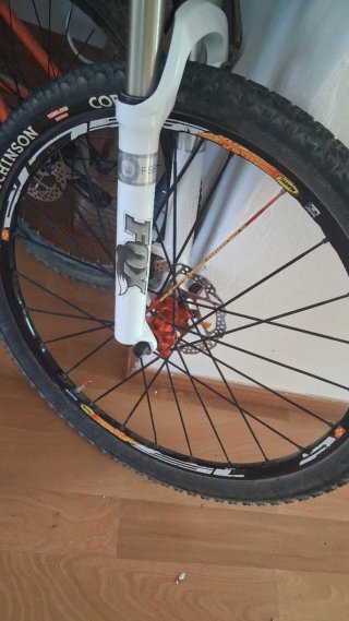 Bicicleta Ditec Carbono Montaña
