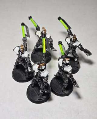 Necron Pariah metal plomo x5