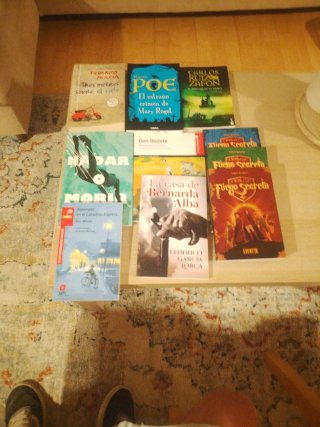 Libros lecturas escolares, preguntar por precios