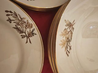 Lote 12 Platos Royal China Vigo Porcelana