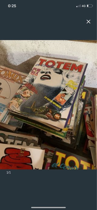 Lote de 100 comics vibora,totem,cairo