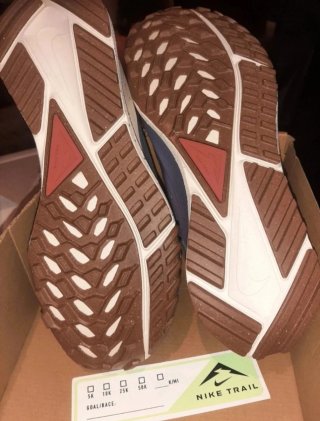 Nike Pegasus Trail 4 GTX Verde NUEVAS