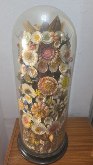 Urna floral de conchas