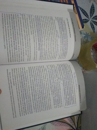 BASES DEL APRENDIZAJE Y EDUCACION