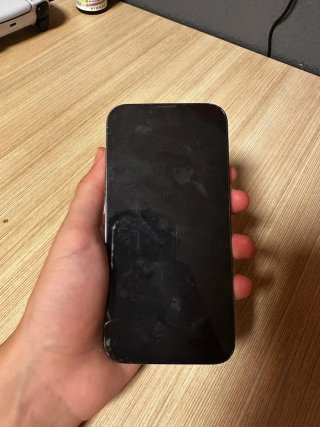 iPhone 13 Pro 256GB Gris Espacial