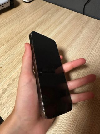 iPhone 13 Pro 256GB Gris Espacial