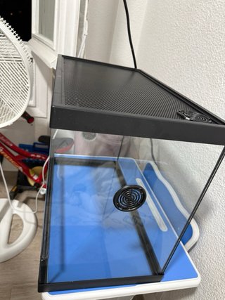 Terrario de cristal negro y transparente
