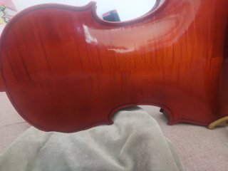 Viola 1973