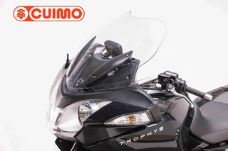 TRIUMPH TROPHY SE