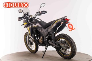 VOGE 300 RALLY