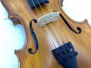 violin genova generico
