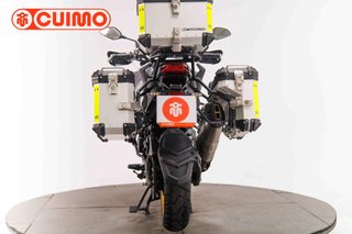 QJ MOTOR SRT 800 X