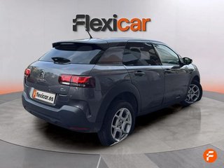 Citroën C4 Cactus PureTech 81KW (110CV) S&S Feel