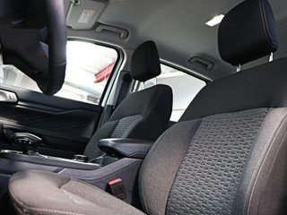 Ford Ranger Pickup 2.3 TIVCT PHEV DC XLT 4x4 AT 207 kW (282 CV)