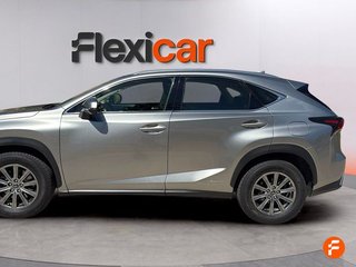 Lexus NX 2.5 300h Business 2WD