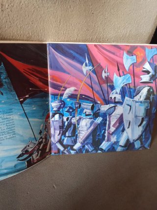 Disco vinilo bruja novata