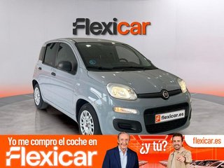 Fiat Panda Panda Hybrid 1.0 Gse 51kw (70CV)