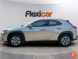 Lexus UX 300e Business