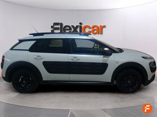 Citroën C4 Cactus BlueHDi 73KW (100CV) Airdream Business