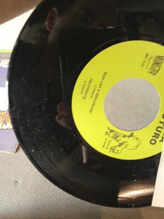 Vinilo La Banda Sin Futuro