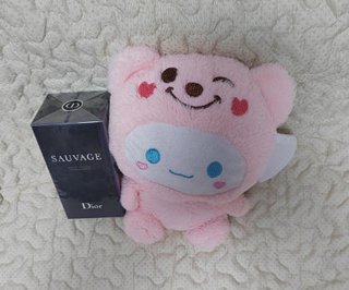 Dior Sauvage Eau de Toilette
