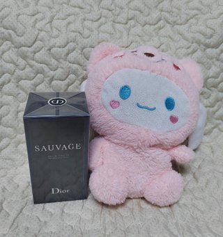 Dior Sauvage Eau de Toilette