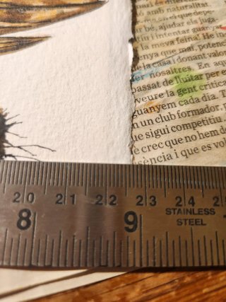 Búho Cárabo pintado a mano acuarela