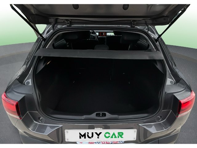 Citroen C4 Cactus BlueHDi 100 S&S C-Series 75 kW (102 CV)