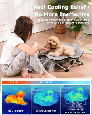 PECUTE Cama Elevada Plegable Refrescante M 60Kg