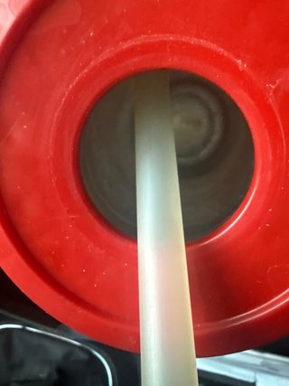 Termo Portátil Rojo y Blanco Frutas