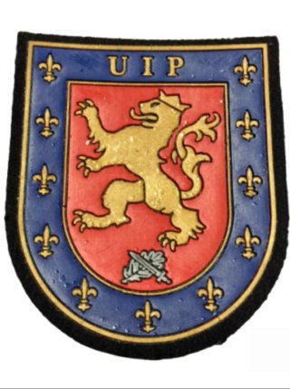 Parche de brazo Cuerpo Nacional de Policía UIP