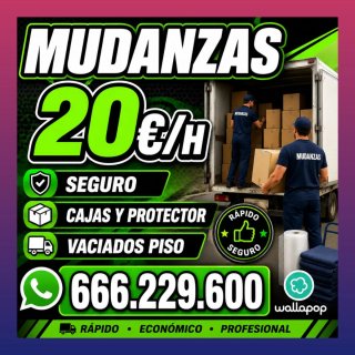 Mudanzas, Mudanzas Económicas, Mudanzas