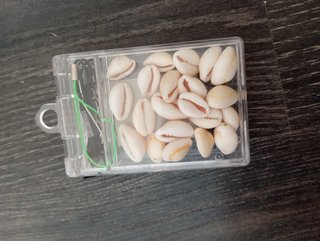 Kit de Joyería con Conchas