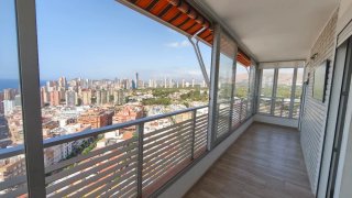 Últimas 2 semanas de agosto disponibles n