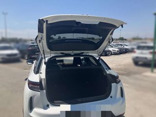 DS ds 3 crossback