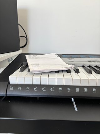 Casio LK-136 Teclado Piano con Luces Dj-Impecable!