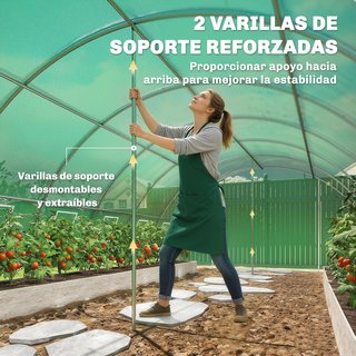 Invernadero 6x4x2m con 2 Varillas