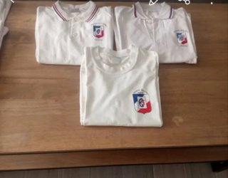 Lote Uniforme Colegio Molière Talla 10