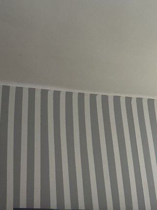 Servicios de Construcción y Reformas