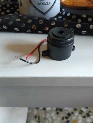 Zumbador Electrónico Negro