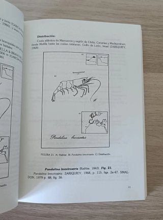 Guía Ilustrada CRUSTÁCEOS + ESPONJAS Litoral Alic.