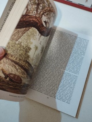 3 libros sobre Dinosaurios.