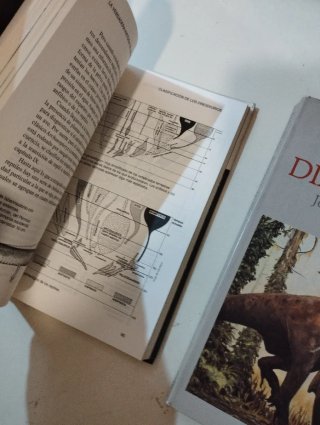 3 libros sobre Dinosaurios.