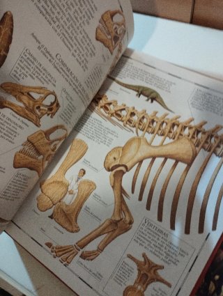 3 libros sobre Dinosaurios.