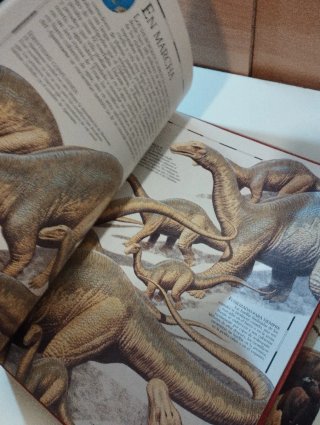 3 libros sobre Dinosaurios.